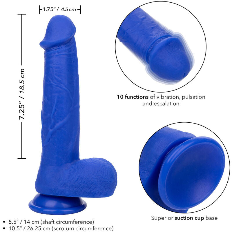 VIBRADOR REALISTICO CALEXOTICS - ADMIRAL CAPTAIN DILDO AZUL