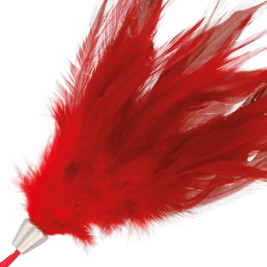 PLUMA DARKNESS - ESTIMULADORA ROJO 17CM