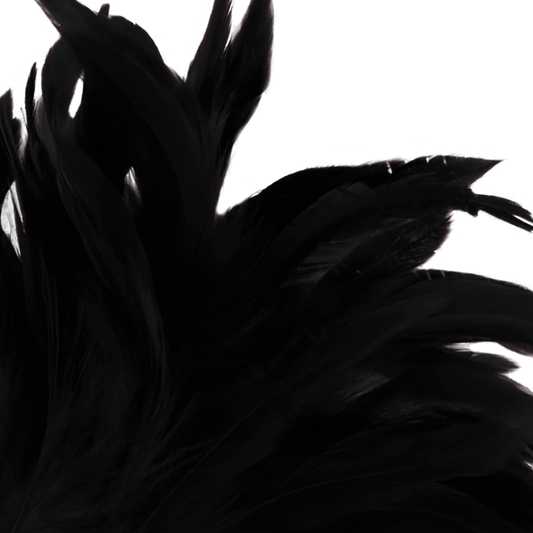 PLUMA DARKNESS - ESTIMULADORA NEGRO LUX
