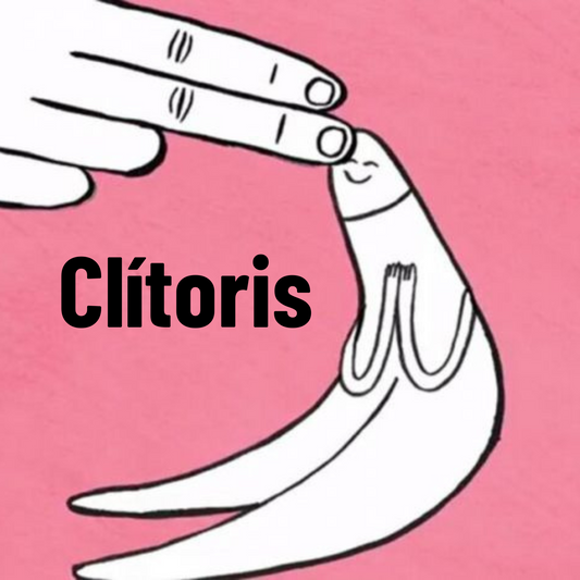 Clítoris: olvidado por la historia y gran protagonista del placer femenino