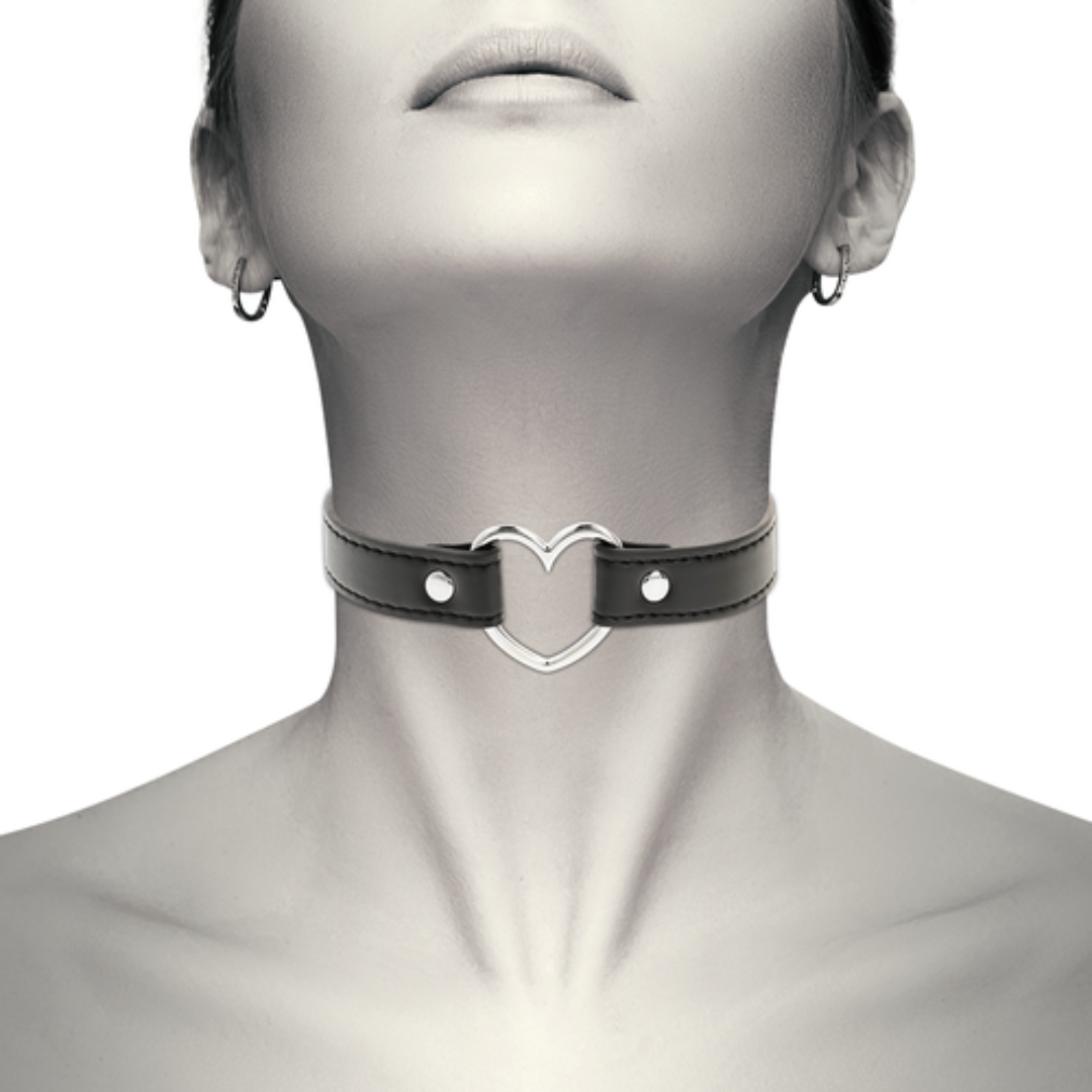 Collares BDSM