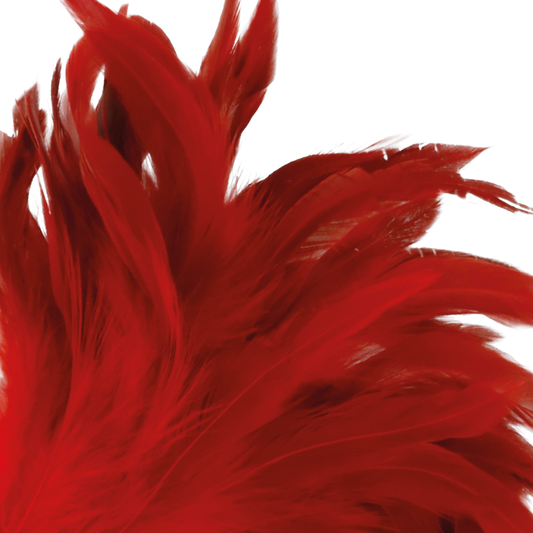 PLUMA DARKNESS - ESTIMULADORA ROJO 24CM